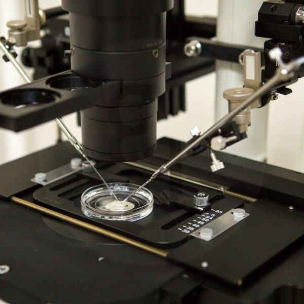 cyprus fertility