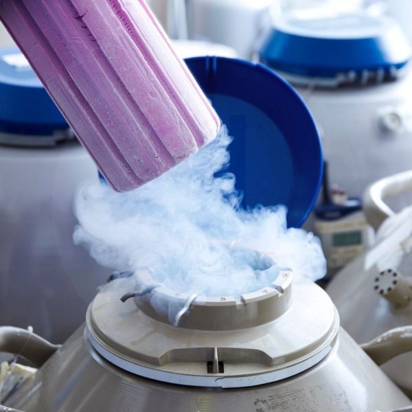 ivf cyprus fertility