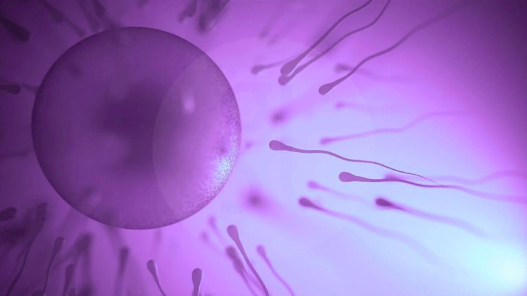The Embryo Pooling Method